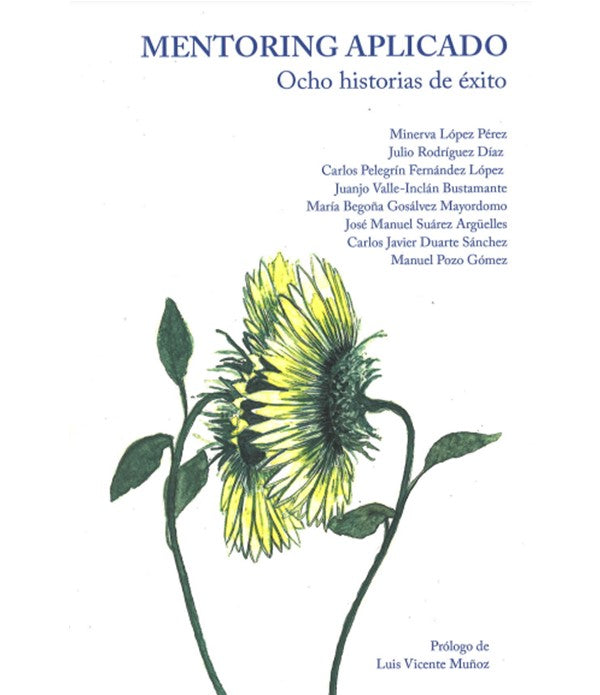 Mentoring aplicado